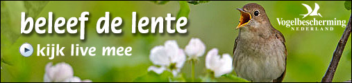 Beleef de Lente