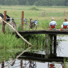 Grotere rol voor boer bij aanleg en beheer natuur
