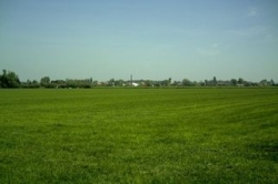 Landbouwgrond