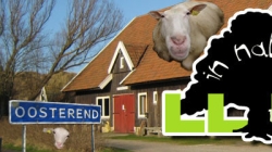 LLiNK in Natura