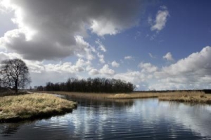 Naardermeer