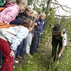 Stichting NatuurWijs