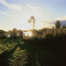 Vroege ochtend bij molen