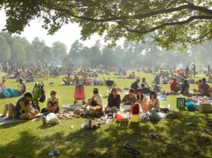 Draagvlak natuur moet kleurrijker