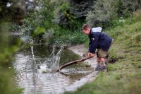 een scharrelkind (foto: Johannes Dalhuijsen)