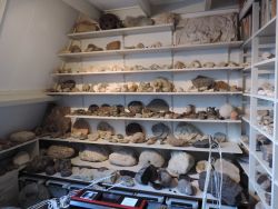 Deel van de collectie van Johan Mulder in zijn privé-museum.