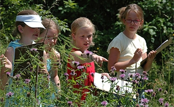 kinderen in de natuur