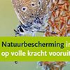Natuurbescherming in Nederland, op volle kracht vooruit