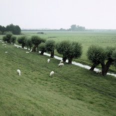 Visie op Landschap