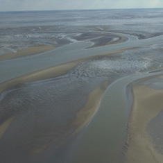 Waddenzee