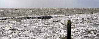 Natuurlijke Klimaatbuffers